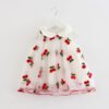 Baby Girls dress