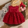 Baby Girls dress