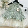 Baby Girls dress