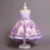 Baby Girl Dress